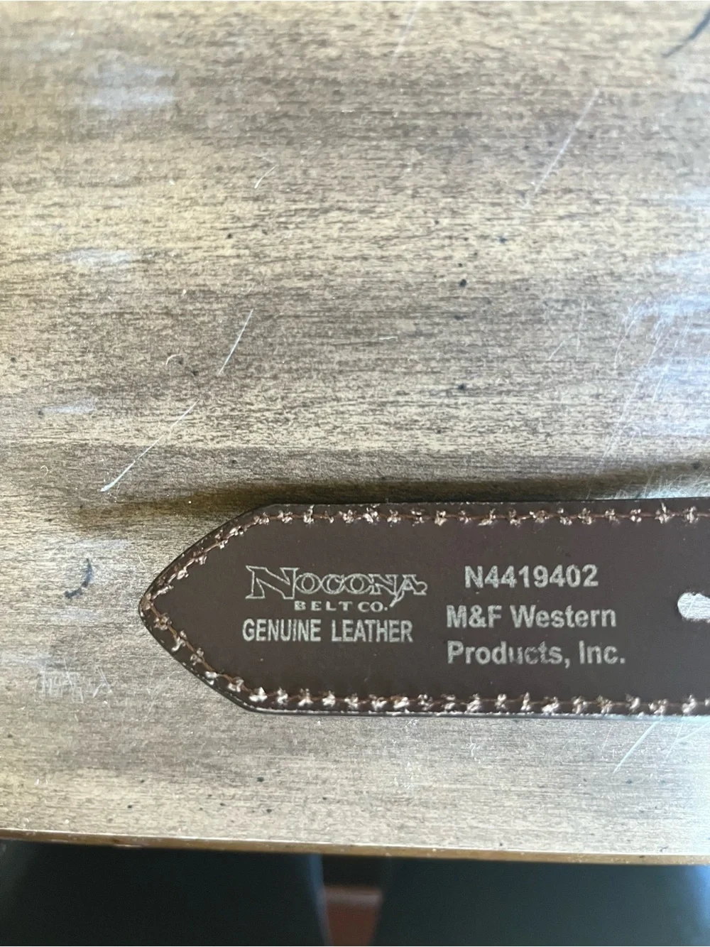 Nocona Brown Studded Kids Belt with Silver-Tone Buckle